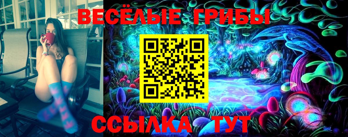 Новоалтайск  Псилоцибиновые грибы мухоморы  Вход с VPN 