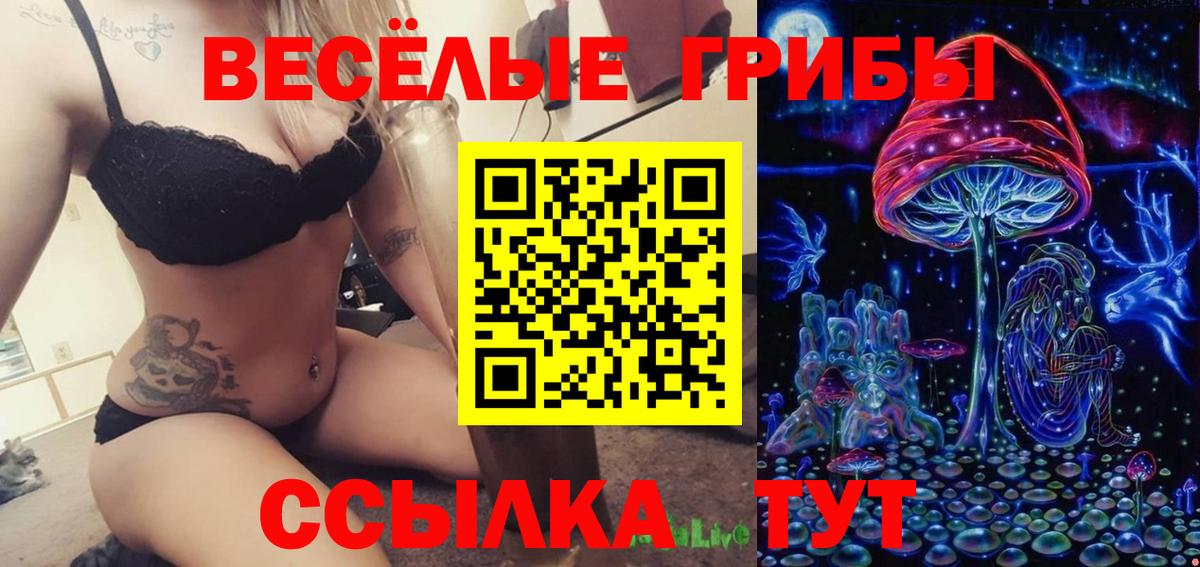 Псилоцибиновые грибы MAGIC MUSHROOMS Новоалтайск