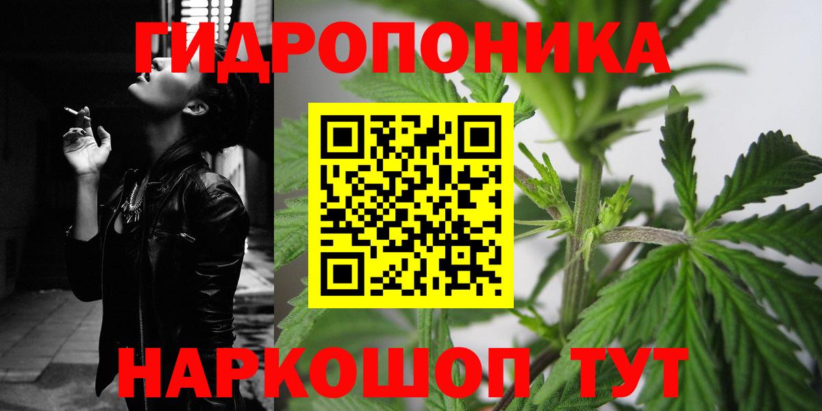 Шишки марихуана семена Новоалтайск